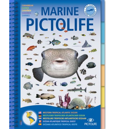 Guide Pictolife Atlantique Ouest
