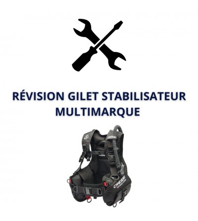 Révision Gilet Stabilisateur multimarque